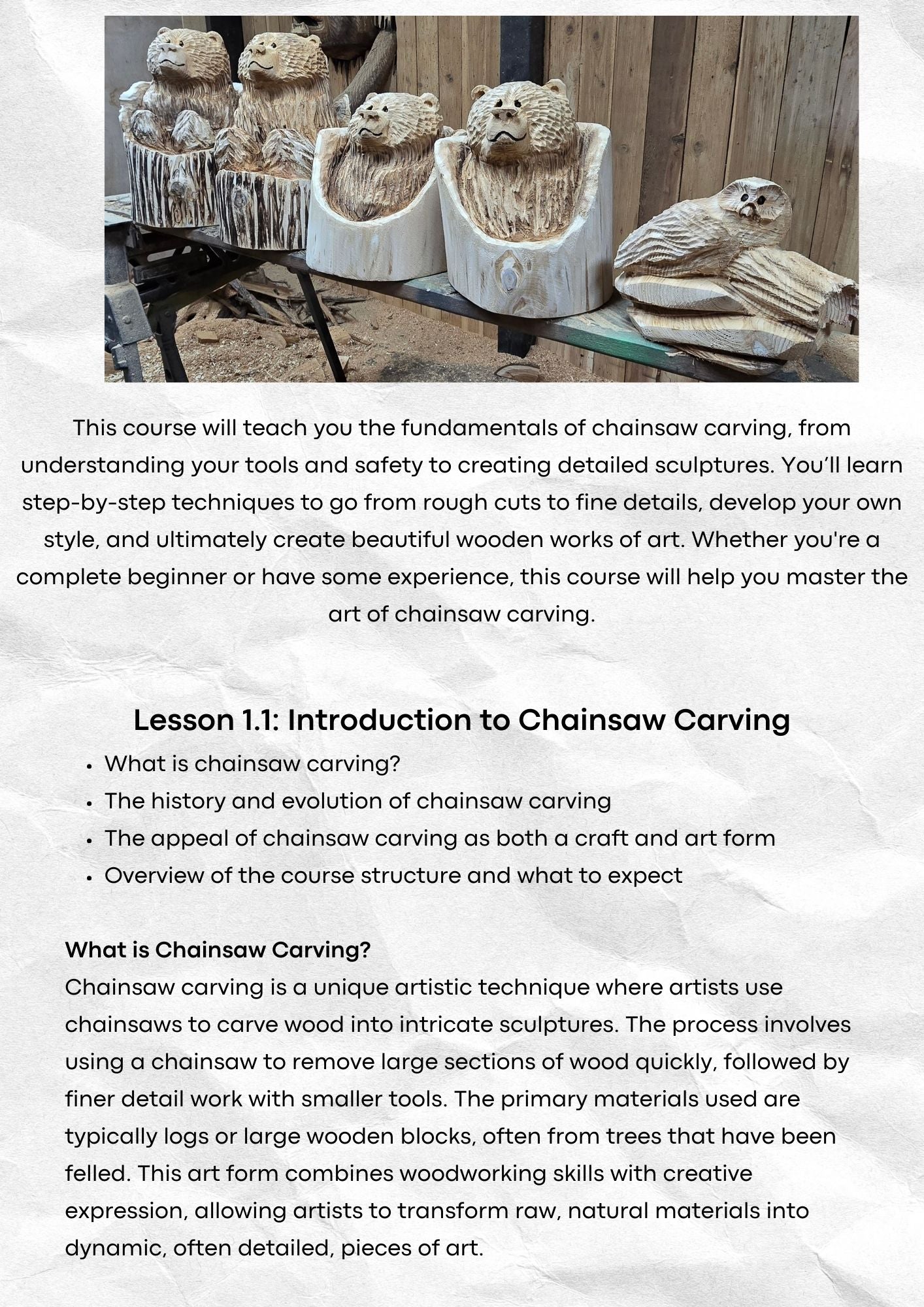 Chainsaw Carving 101 Digital eBook Workbook